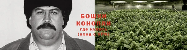 ECSTASY Балабаново
