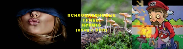 твердый Балахна