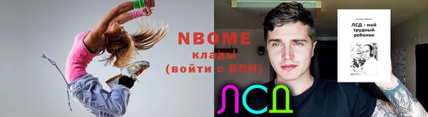 соль ск Арсеньев
