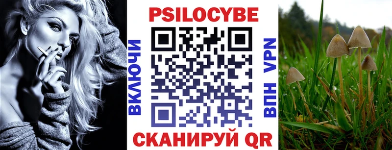 Галлюциногенные грибы Psilocybe  Кстово 